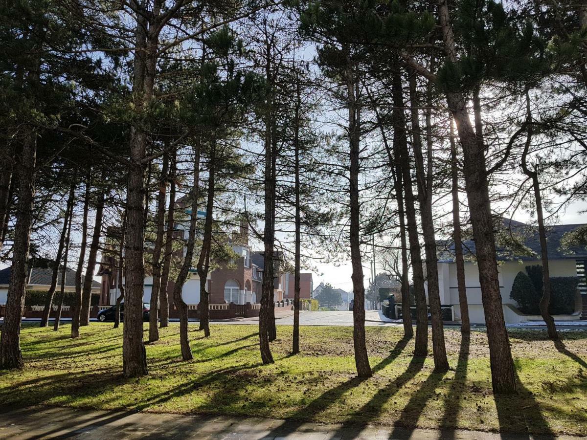 Апартаменты Sunny Days - App 60 M2 Avec Balcon, 4 Pers, 3E Etage, Au Calme Et Ensoleille Le Touquet Экстерьер фото